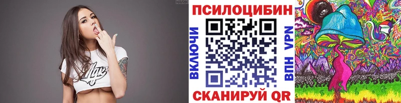как найти закладки  Тара  Галлюциногенные грибы мухоморы 